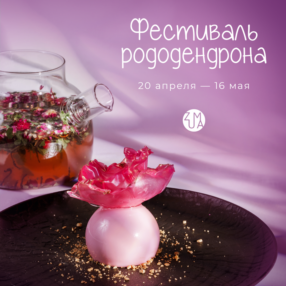 ��������� ������������ � ZUMA