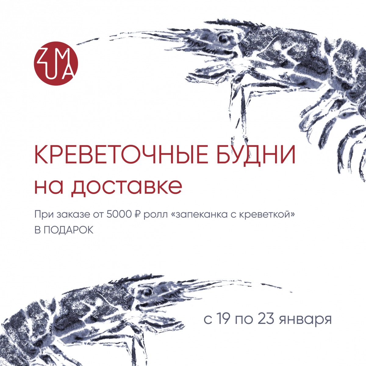 ������������ ����� � �������� ZUMA